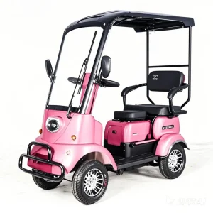 Eco-Friendly ATV Cart