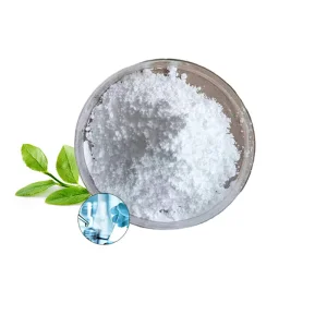 Manufacturer Supply Bcaa Branched-Chain Amino Acids