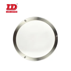 Double Ring LED Ceiling Lamp Flush Mount