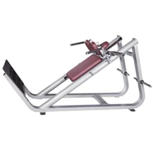 Fitness Machines/ Hack Squat / Gym Equipment