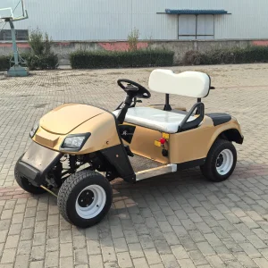 Electric Golf Cart Mini