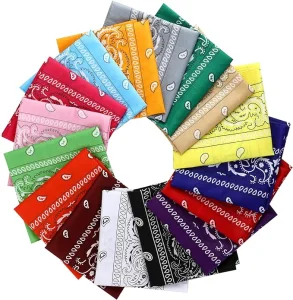 BSBH Wholesale Cotton Paisley Bandanas