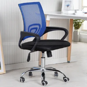 Ergoswivel Mesh Task Office Chair with Lumbar Support