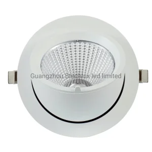 Gimbal LED Downlight