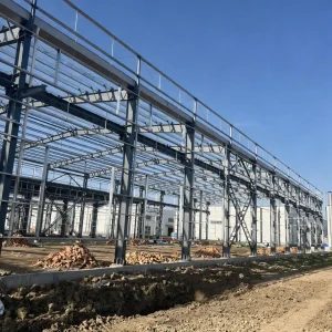 Prefabricated Steel Structure Warehouse Large Span Column Free
