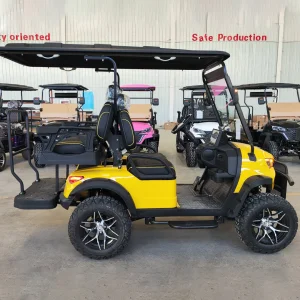 4 Passenger Street Legal Golf Cart 5KW
