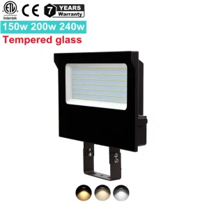 Flood Light PIR