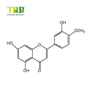Wholesale lemon Peel Extract Diosmetin Manufacturers