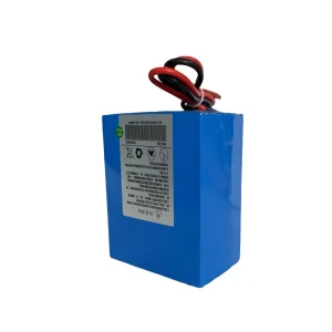 High-Quality 24V 13Ah Electric Bike Battery