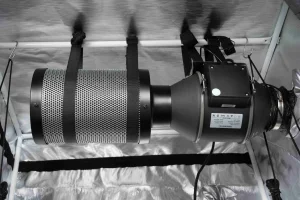 Plant Indoor LED Plant Plant Stands LED Grow Tent Kit 4X2 Seed Starting DIY Grow Tent Kit with Samsung LEDs (CE) Meanwell Power