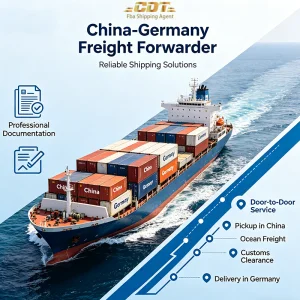 China France DDP Shipping Agent