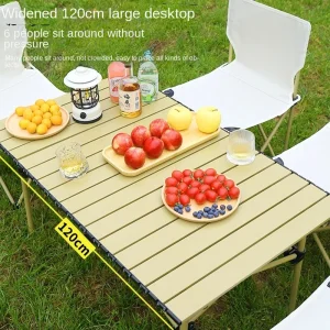 Portable Folding Picnic Table and Chair Set
