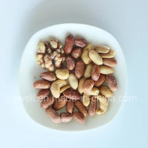 Mistura de Castanhas Salgadas: Caju, Amêndoas, Amendoins, Snacks de Nozes