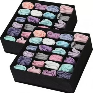 Odor-Free Underwear Organizer