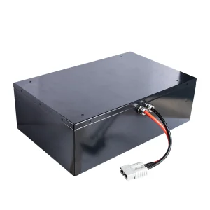 Custom 12V-72V 50Ah-314Ah Deep Cycle Energy Storage Solar RV Marine Backup Power 12V LiFePO4 Battery Pack