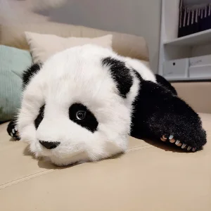 Giant Panda