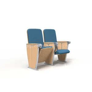 Public Hall Church School Conference Stadium Theatre Cinema Auditorium Public Seating (YA-L2109C)