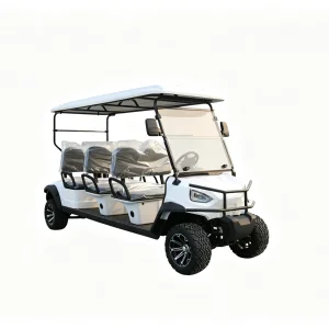 Multifunctional 6 Seater Electric Golf Cart
