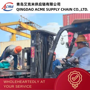 China to South Africa Popular Sea Shipping Forwarder