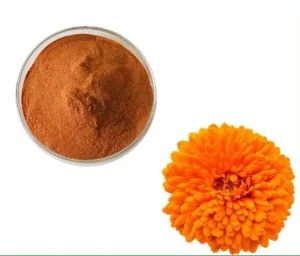 High Quality Marigold Extract Powder with Lutein Zeaxanthin Tagetes Erecta 100% Natural Marigold Flower Extract