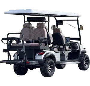 6 Person Golf Cart