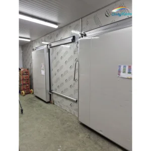 Restaurant Modular Cold Freezer Room