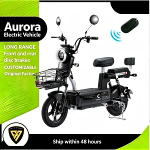 High-Quality Practical Two seat City Commute E Bike