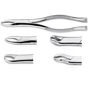 Surgical Forceps