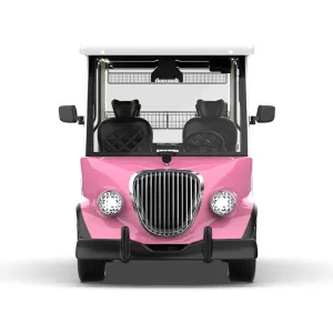 Agv Lsv Street Legal Golf Cart with DOT CT