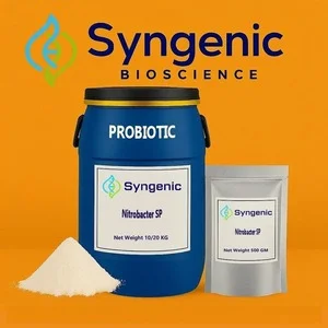 High Activity Food Grade Mixed Enzyme Powder