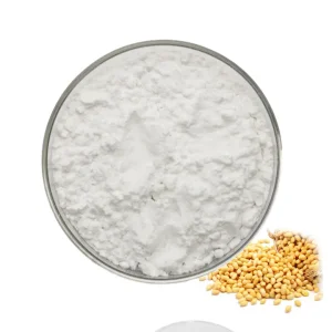 HONGDA Supply High Quality Soy Protein Isolate