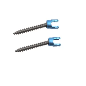 Geasure Orthopedic Surgical Implants Neurosurgery Spine 6.0