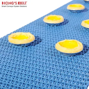 Hongsbelt Food Grade Modular Conveyor Belt Modular Plastic Conveyor Belt for Food Industry
