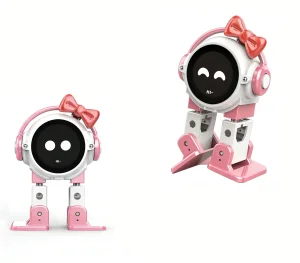 Windhoek STEM Lab Aismart Robot Toy