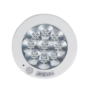 Hotel Led Emergency Ceiling Light
