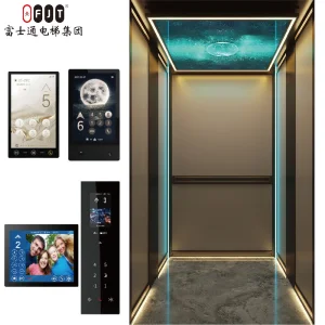 Smooth-Running Traction Type Villa Lift for Family House Usage