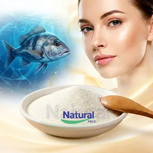 For Company Use Fish Collagen Peptide Powder 90% Fish Scale