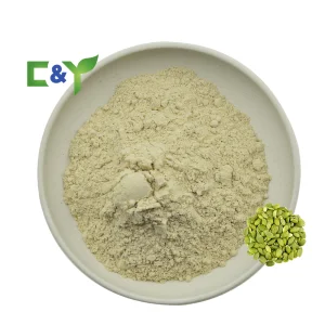 High Quality Natural Pumpkin Seed Protein Fatty Acid Pumpkin Seed Extract