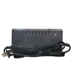 42V5a E Bike Charger
