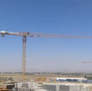 New 10 Ton Capacity 65m Jib Lengh Tower Crane Xgt6515be-10s1 CE Approved