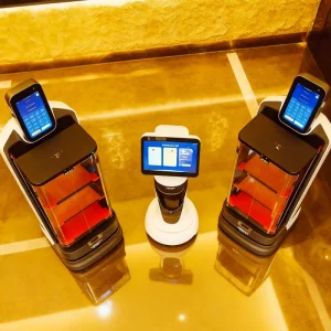 Interactive Delivery Robot
