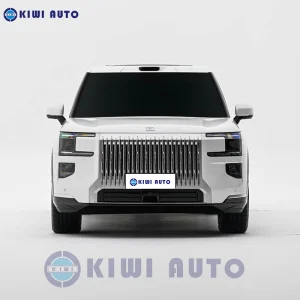 2025 SUV eléctrico de lujo grande de China Zeekr 9X 5 Puertas 6 Asientos 900V Vehículo de nueva energía PHEV EV para adultos