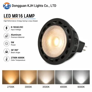 Low Voltage LED MR16 Garden Light