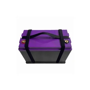 12V 100Ah Lifepo4 Battery Pack
