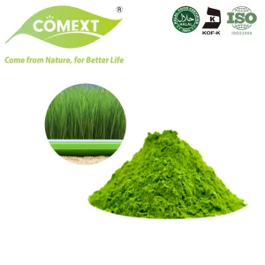 Organic Barley Grass Powder