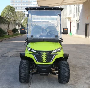 Acessórios para Carrinho de Golfe Parte de Carro Elétrico Carrinhos de Golfe à Venda a Preços Moderados