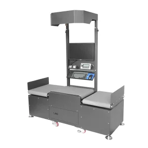 Scan Dimension Weight Dws Belt Conveyor Line Express Logistic System