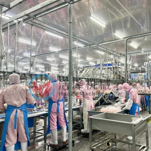 300-500 Per Hour Chicken Slaughtering Equipment for Small Abattoir