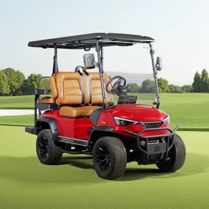 Customized New Arrival Golf Buggy