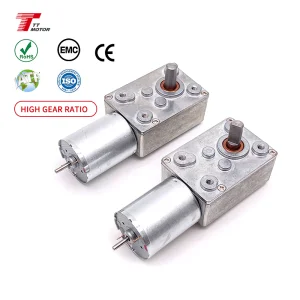 12v Dc Worm Gear Motor Encoder 6rpm 24v Magnet Gear Motor for Curtain With Electric High Torque